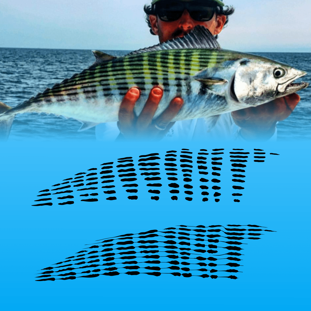 Teardrop Mesh Fishing Lure Airbrush Stencil